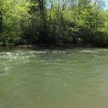 Cabin Fever On Cartecay River Ellijay Ngoại thất bức ảnh
