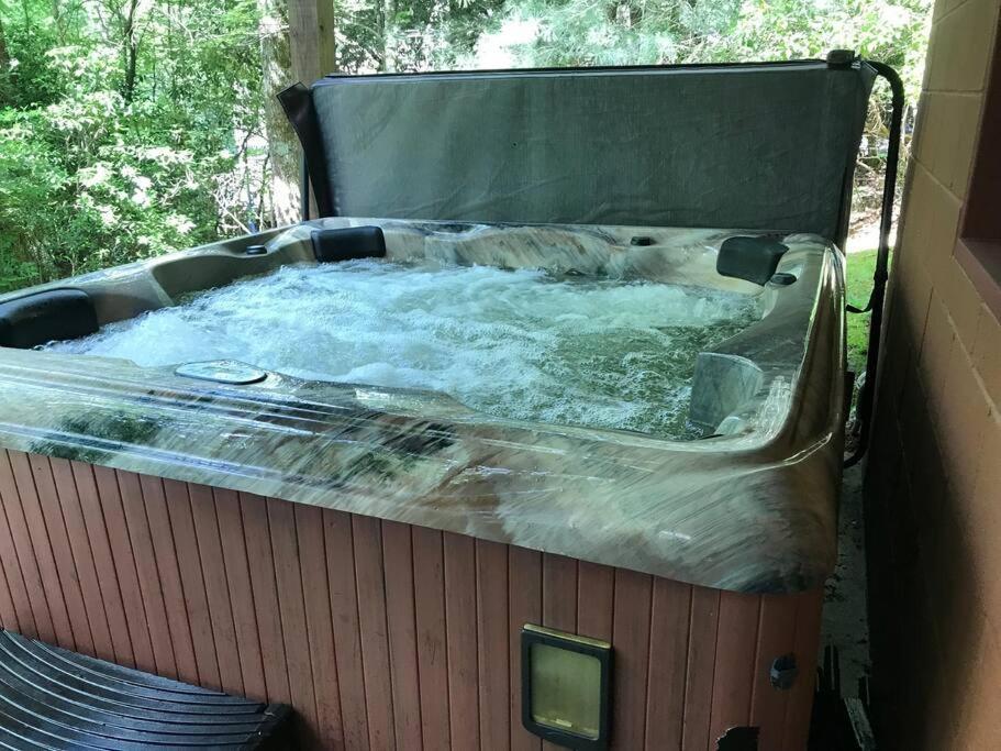 Cabin Fever On Cartecay River Ellijay Ngoại thất bức ảnh