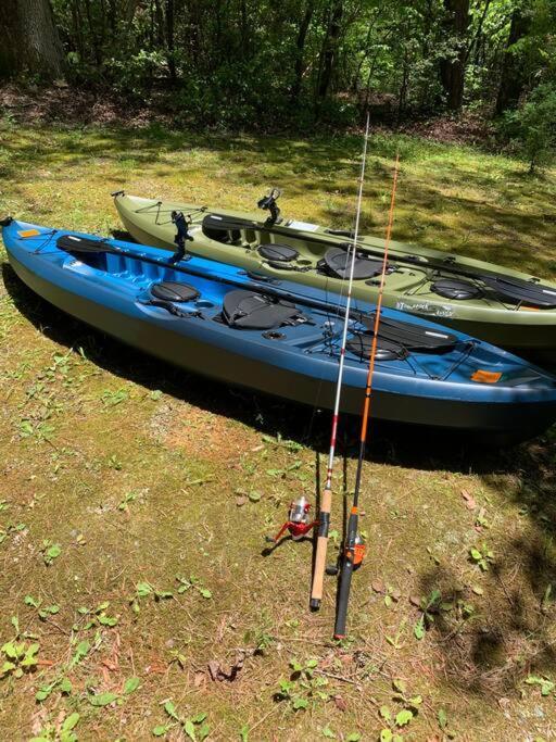 Cabin Fever On Cartecay River Ellijay Ngoại thất bức ảnh