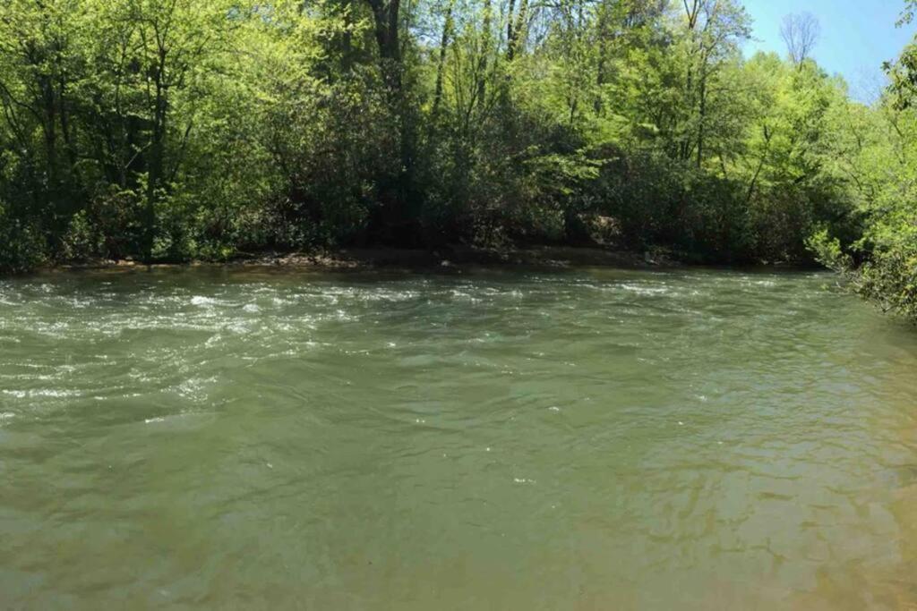 Cabin Fever On Cartecay River Ellijay Ngoại thất bức ảnh