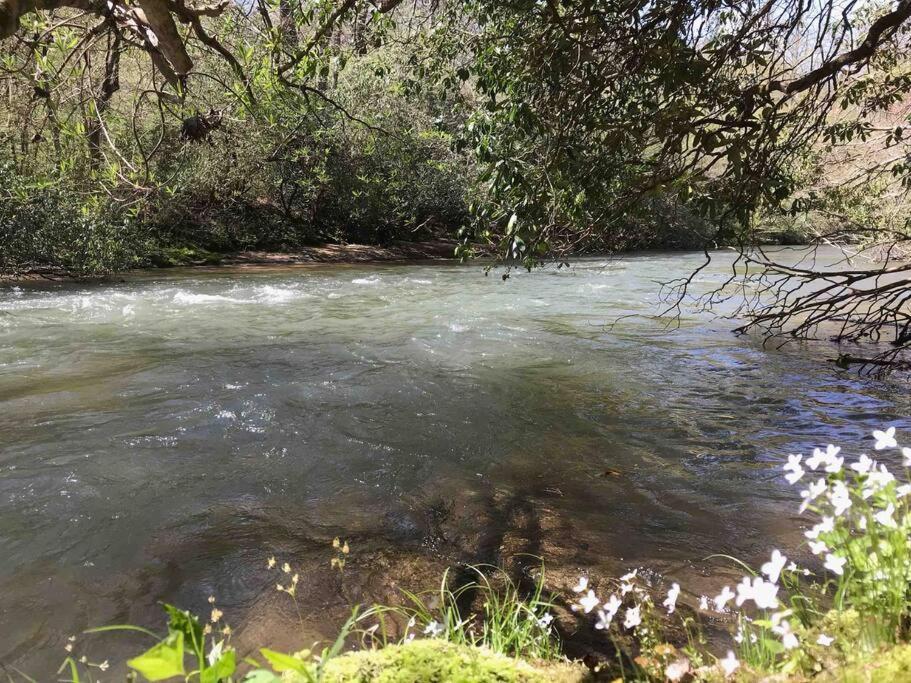 Cabin Fever On Cartecay River Ellijay Ngoại thất bức ảnh