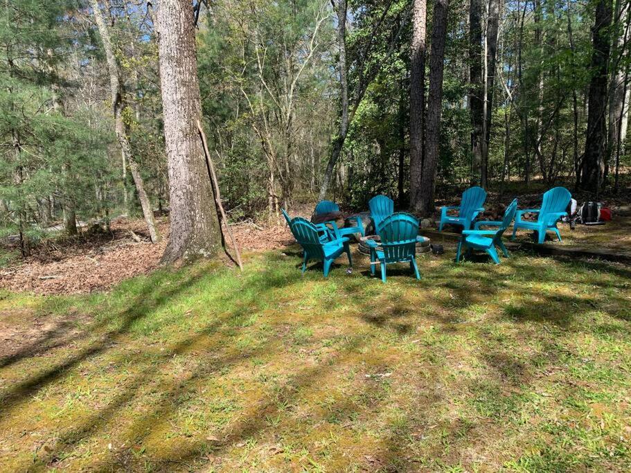 Cabin Fever On Cartecay River Ellijay Ngoại thất bức ảnh