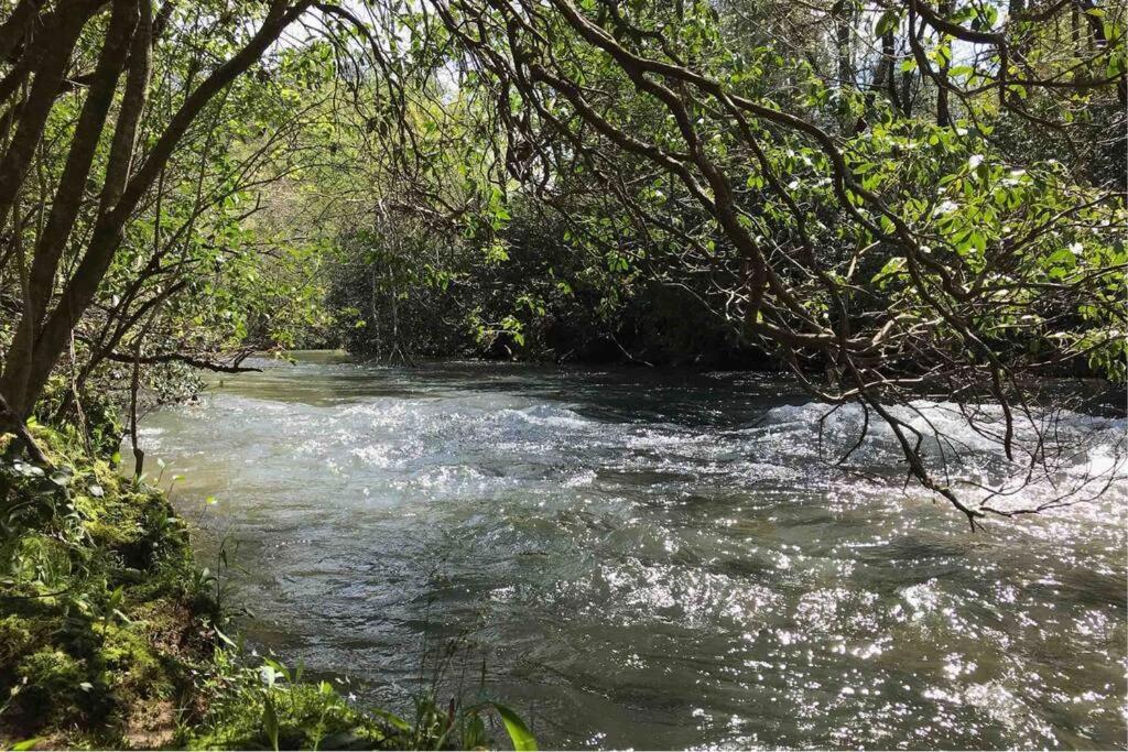 Cabin Fever On Cartecay River Ellijay Ngoại thất bức ảnh